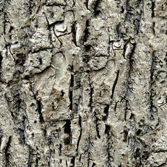 Country Bumpkin Tree Bark Camo Leggings