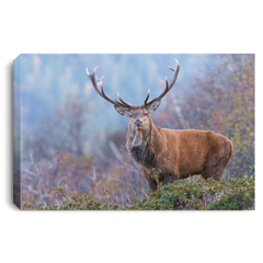 Big Buck In The Mountains Wall Art Canvas .75in Frame